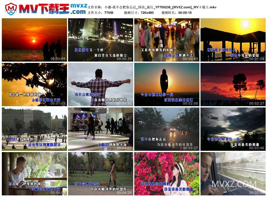 小潘-我不会把你忘记_国语_流行_YF700238